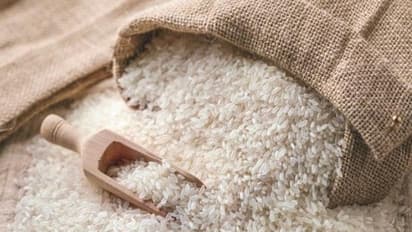 ಭಾರತದಿಂದ ರಫ್ತಾಗುವ ಟಾಪ್ 10 ಕೃಷಿ ಸಂಬಂಧಿ ಉತ್ಪನ್ನಗಳಿವು..! ಎಮ್ಮೆ ಮಾಂಸ ರಫ್ತಿನಲ್ಲೂ ಭಾರತ ಮುಂದು..!