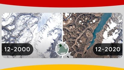 পালিত হচ্ছে আর্থ ডে, গুগল ডুডলে পরিবেশ রক্ষার বার্তা, রয়েছে এক চমকপ্রদ ছবি