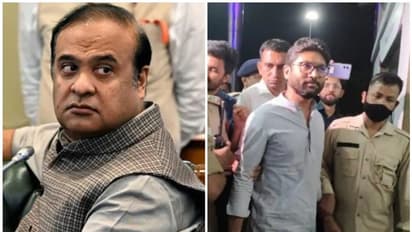 Jignesh mewani : 'എനിക്കറിയില്ല, ആരാണയാൾ?' ജിഗ്നേഷ് മേവാനിയുടെ അറസ്റ്റിനെക്കുറിച്ച് അസം മുഖ്യമന്ത്രി