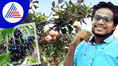 ಬರದ ನಾಡಿಗೆ ಕಾಲಿಟ್ಟ ಕಾಶ್ಮೀರಿ ಆ್ಯಪಲ್: ವಿಜಯಪುರದಲ್ಲಿ ಸೇಬು ಬೆಳೆದು ಸೈ ಎನಿಸಿಕೊಂಡ ರೈತ