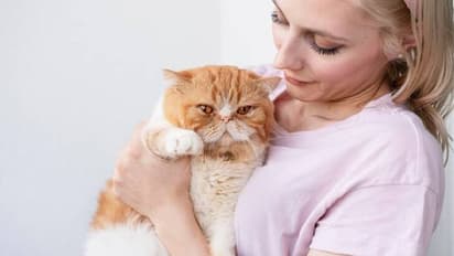 വളർത്തുപൂച്ചകളെ പുറത്ത് കൊണ്ടുപോകുന്നത് വിലക്കി ഈ പ്രദേശം! 23000 രൂപ വരെ പിഴയും...