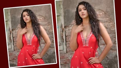 ভেজা শরীর, মাল্টিকালার বিকিনিতে লাস্যময়ী সোহিনী, বিচ্ছেদের যন্ত্রণা ভুলতেই কি জলে ডুব দিলেন নায়িকা