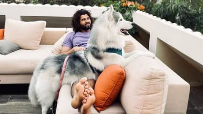 In Pictures: Vijay Deverakonda is Allu Arjun’s neighbour; check out his Rs 15 crore bungalow in Hyderabad