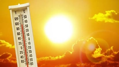 Alert : மே 14 ஆம் தேதி முதல் பள்ளிகளுக்கு விடுமுறை..அரசு எடுத்த அதிரடி முடிவு !