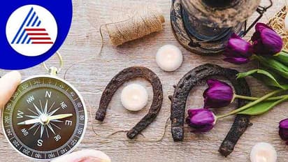 Vastu for prosperity: ಈ ವಸ್ತುಗಳನ್ನು ಮನೆಯಲ್ಲಿಟ್ಟರೆ ಸಂಪತ್ತು ಎಂದೂ ಖಾಲಿಯಾಗೋಲ್ಲ!