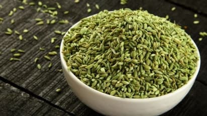 Fennel Seeds Benefits: How eating them after meals can boost digestion and overall health