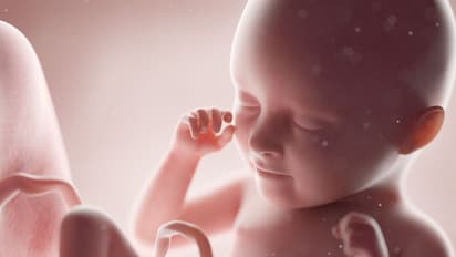 পুত্র সন্তান পেতে একটা অণ্ডকোষ কেটে ফেলত পুরুষরা! আদৌ কতটা বিজ্ঞানসম্মত এই প্রথা