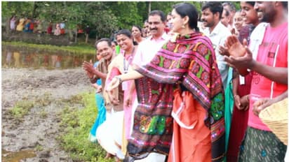 ലുങ്കിയുടുത്ത്, കർഷകയായി ജില്ലാ കളക്ടർ; 30 വർഷം തരിശ് കിടന്ന പാടവരമ്പത്ത് വിത്ത് വിതച്ച് രേണുരാജ്