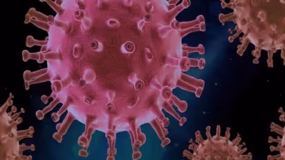 Covid wave ಕೋವಿಡ್ 4ನೇ ಅಲೆ ಬೆನ್ನಲ್ಲೇ ಭಾರತಕ್ಕೆ ಮತ್ತೊಂದು ಭೀತಿ, ಸೌತ್ ಆಫ್ರಿಕಾದಲ್ಲಿ 5ನೇ ಅಲೆ ಆರಂಭ!