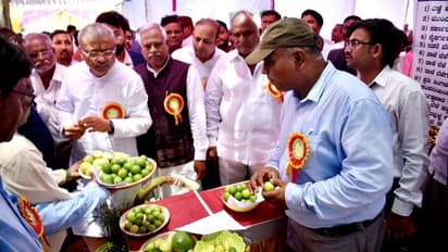 ರಾಜ್ಯದಲ್ಲಿ ಮೊದಲ ಬಾರಿಗೆ  ನಡೆದ ಲಿಂಬೆ ಉತ್ಸವದ ಝಲಕ್