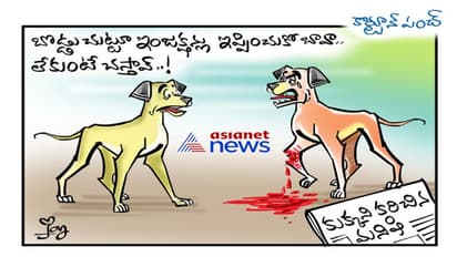 ఇదేం చిత్రం : కుక్కని కరిచిన మనిషి...!!