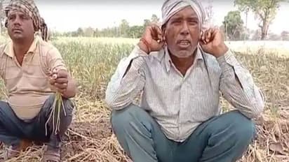 कान पकड़कर क्यों उठक-बैठक कर रहा मध्यप्रदेश का ये किसान, पूरी जिंदगी इस फसल की खेती ना करने की खा रहा कसम