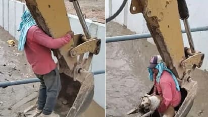Rescue Video : കാണേണ്ട വീഡിയോ തന്നെ; കനാലില്‍ വീണ നായയെ രക്ഷപ്പെടുത്തുന്ന തൊഴിലാളി