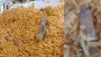  அமித்ஷாவை எதிர்த்து போராடியவர்களுக்கு பல்லி விழுந்த பிரியாணி.. சாப்பிட்டவர்கள் மருத்துவமனையில் அனுமதி.!