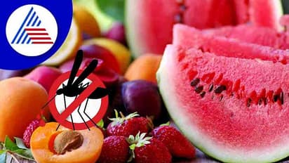 ಮಲೇರಿಯಾ ಜ್ವರ ಬಂದಾಗ ಎಂಥಾ ಆಹಾರ ಸೇವಿಸುವುದು ಸೂಕ್ತ ?