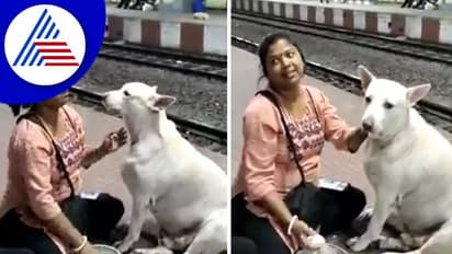 ಬೀದಿನಾಯಿಗೆ ಮೊಸರನ್ನ ತಿನ್ನಿಸಿದ ಮಹಿಳೆ: ವಿಡಿಯೋ ವೈರಲ್