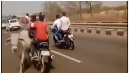 ఆవును ఢీకొట్టిన భీమ్ ఆర్మీ చీఫ్ రావన్ కాన్వాయ్‌ బైక్.. యువకుడు దుర్మరణం