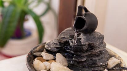 Water Gives Prosperity :  വെളളം ഐശ്വര്യം കൊണ്ട് വരും; വീട്ടിൽ പോസിറ്റീവ് എനർജി വരാൻ ചെയ്യേണ്ടത്...