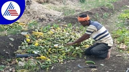 ಅಕಾಲಿಕ ಮಳೆಗೆ ನಲುಗಿದ ಬೆಳಗಾವಿ: ಸಂಕಷ್ಟದಲ್ಲಿ ಅನ್ನದಾತ