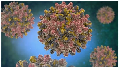 Hepatitis :  കുട്ടികളിൽ അജ്ഞാത ഹെപ്പറ്റൈറ്റിസ്‌ വകഭേദം പടരുന്നു, 169 കുട്ടികള്‍ക്ക് ഗുരുതരം