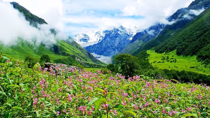 ভ্রমণ প্রেমিদের জন্য খারাপ খবর, আপাতত বন্ধ উত্তরাখণ্ডের ভ্যালি অব ফ্লাওয়ার্স