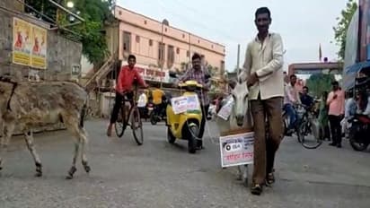 'ഈ തട്ടിപ്പ് കമ്പനിയെ സൂക്ഷിക്കുക'; ബോര്‍ഡും തൂക്കി സ്‍കൂട്ടര്‍ കഴുതയെക്കൊണ്ട് വലിപ്പിച്ച് ഉടമ!