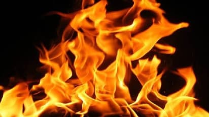 பாலியல் தொழில் செய்யச்சொல்லி வற்புறுத்தும் இயக்குனர்... கொலை மிரட்டல் விடுப்பதாக நடிகை தீக்குளிக்க முயற்சி