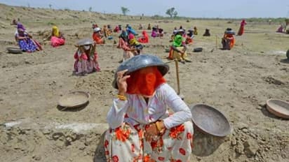 इस गर्मी में राजस्थान जा रहे हों तो सावधान, शुरू हो रहा प्रकृति का कहर, जानकारी के लिए पढ़िए ये खबर