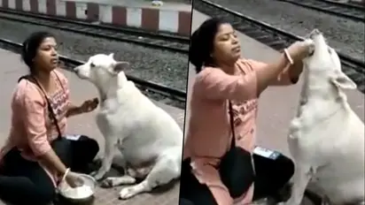 Woman feeds curd rice to a stray dog; video goes viral