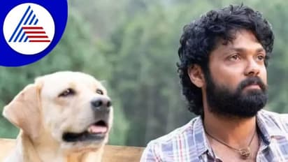 777 Charlie: 21 ಕೋಟಿಗೆ ಕನ್ನಡ ಪ್ರಸಾರದ ಹಕ್ಕು ಖರೀದಿಸಿದ ಕಲರ್ಸ್ ಕನ್ನಡ