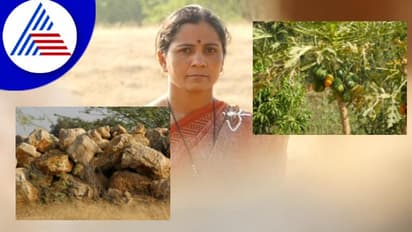 ಬಂಡೆಗಲ್ಲುಗಳಿದ್ದ ಜಮೀನಾಯ್ತು ಹಸಿರು ಹೊತ್ತ ಭೂಮಿ, ಬಂಗಾರದಂಥಾ ಬೆಳೆ ಬೆಳೆದ ರೈತ ಸಾಧಕಿ