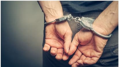 Man Rapes Cow : പശുവുമായി ലെെംഗിക ബന്ധം; സിസിടിവി ദൃശ്യങ്ങള് തെളിവായി, യുവാവ് അറസ്റ്റിൽ