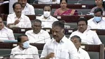 நான் சும்மா இல்ல.. ஜல்லிக்கட்டில் பல காளைகளை அடக்கி இருக்கேன்.. சட்டமன்றத்தில் கெத்து காட்டிய ஓபிஎஸ்.