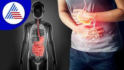Digestive Health: ಜೀರ್ಣಾಂಗದ ಮೇಲೆ ದುಷ್ಪರಿಣಾಮ ಬೀರೋ ಅಭ್ಯಾಸಗಳಿವು!