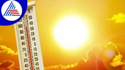 ಬಿಸಿಲ ಧಗೆಯಿಂದ ಬರೋ ಆರೋಗ್ಯ ಸಮಸ್ಯೆಗಳು ಒಂದೆರಡಲ್ಲ, ಹೀಟ್ ಸ್ಟ್ರೋಕ್ ಕೂಡಾ ಆಗ್ಬೋದು !