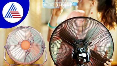 Summer Tips: ಎಸಿ, ಕೂಲರ್ ಇಲ್ಲದೆ ಮನೆ ಥಂಡಾ ಥಂಡಾ ಕೂಲ್ ಆಗೋದು ಹೇಗೆ?