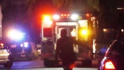 വളർത്തുനായ മകളെ കടിച്ചുകീറി, കറിക്കത്തിയെടുത്ത് കുത്തിക്കൊന്ന് അമ്മ