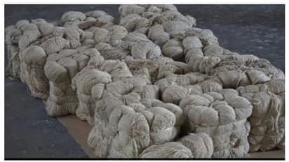 ഹെറോയിനിൽ മുക്കിയ നൂൽക്കെട്ടുകൾ; ഗുജറാത്തിൽ പിടികൂടിയത് 450 കോടിയുടെ മയക്കുമരുന്ന്