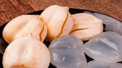 Nungu Benefits : கோடை சீசனில் நுங்கு ஏன் கண்டிப்பாக சாப்பிட வேண்டும் தெரியுமா..? அதன் நன்மைகள் இதோ!!