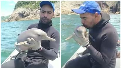 Viral Video : ഡോൾഫിൻ കുഞ്ഞിനെ രക്ഷിച്ച് യുവാവ് ; വെെറലായി പഴയ വീഡിയോ