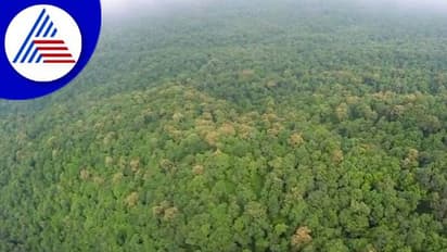 Belagavi: ನಾಪತ್ತೆಯಾಗಿದ್ದ ಬಾಲಕಿ 4 ದಿನದ ಬಳಿಕ ಅರಣ್ಯದಲ್ಲಿ ಪತ್ತೆ