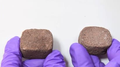 Good News: मंगल ग्रह पर बसेगी इंसानी बस्ती, घर बनाने के लिए जिन अंतरिक्ष ईंटों की जरूरत होगी, वह भारत में बनी