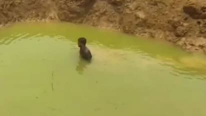 বৃষ্টির দেখা নেই, আচমকাই ভরে গেল পুকুর, 'অলৌকিক' জল বাড়ি নিয়ে যাওয়ার ধুম ভাতারে