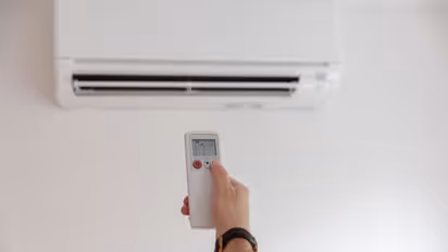 मच्छरों से आया एयर कंडीशनर बनाने का आइडिया, पढ़िए इसके पीछे का बेहद रोचक किस्सा