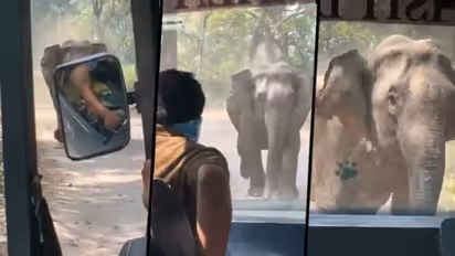 Angry tusker charges tourist canter in Corbet Tiger Reserve; watch