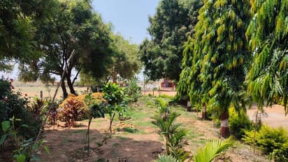 ಕೊಪ್ಪಳ: ಊರ ಹಸಿರು ಮಾಡಲು ಹೊರಟ ಯುವಕರ ತಂಡ