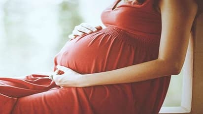 Pregnancy Symptoms: மாதவிடாய் தள்ளிப்போகிறதா..?  கர்ப்பமாக இருப்பதற்கான ஆரம்ப கால அறிகுறிகள்....