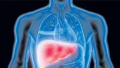 আজই খাদ্যতালিকা থেকে বাদ দিন এই পাঁচ খাবার, অজান্তেই মারাত্মক ক্ষতি হচ্ছে লিভারের