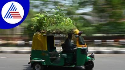 ರಾಜಧಾನಿಯ ರಣ ಬಿಸಿಲಿನಿಂದ ಪಾರಾಗಲು ಆಟೋ ಟಾಪ್ ಮೇಲೆ ಗಾರ್ಡನ್!