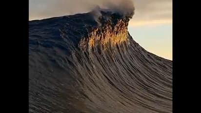 মেঘের দেশে সমুদ্রের ঢেউ, কথা দিচ্ছি ভাইরাল ভিডিওটি দেখলে মন ভালো হবে আপনার